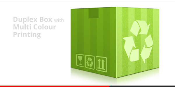 duplex carton box manufacturer in salem